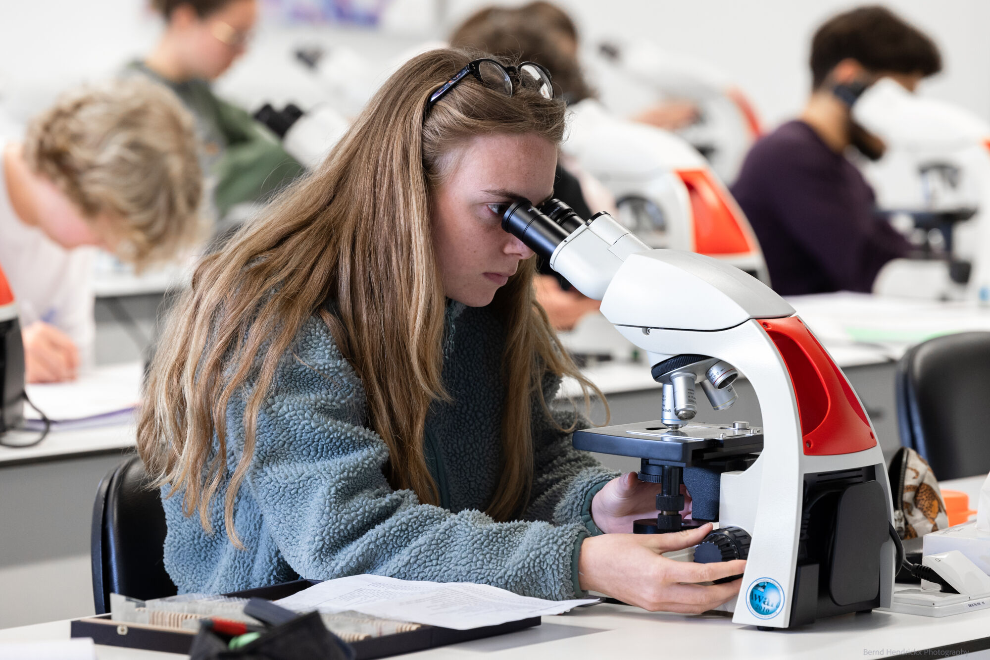 histologie-bachelorBMW-22.jpg
