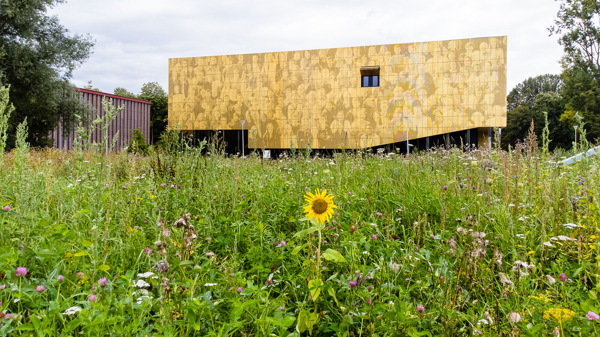 Biodiversiteit UAntwerpen 2021 (3).jpg