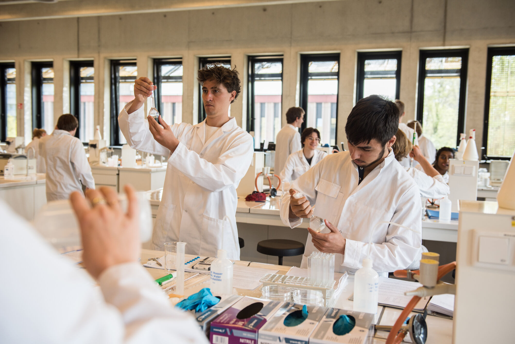 Biologie - vorm en functie planten (20).jpg