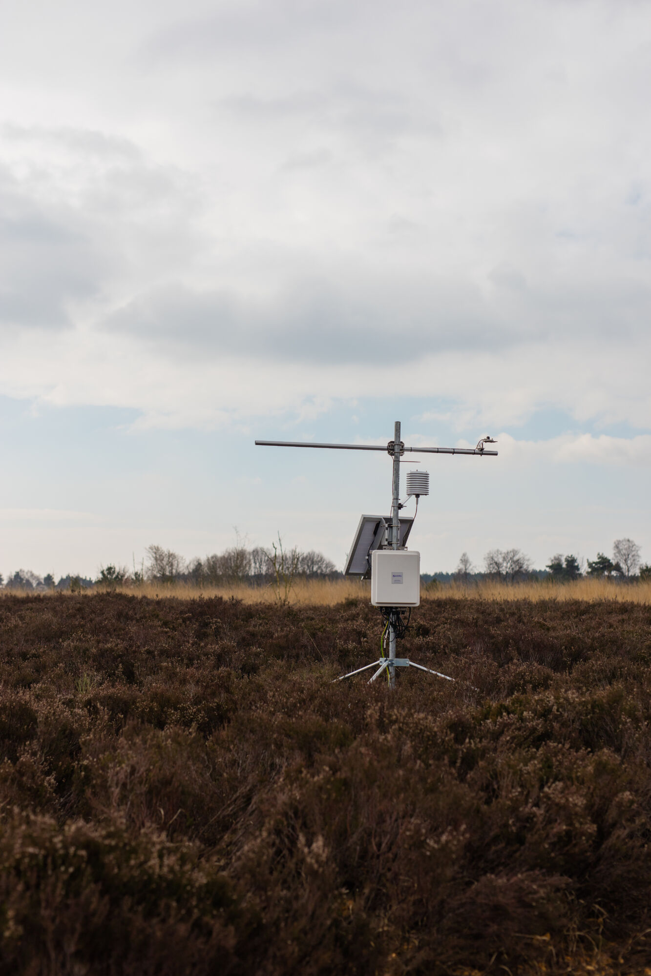 Integrated Carbon Observation System (25).jpg