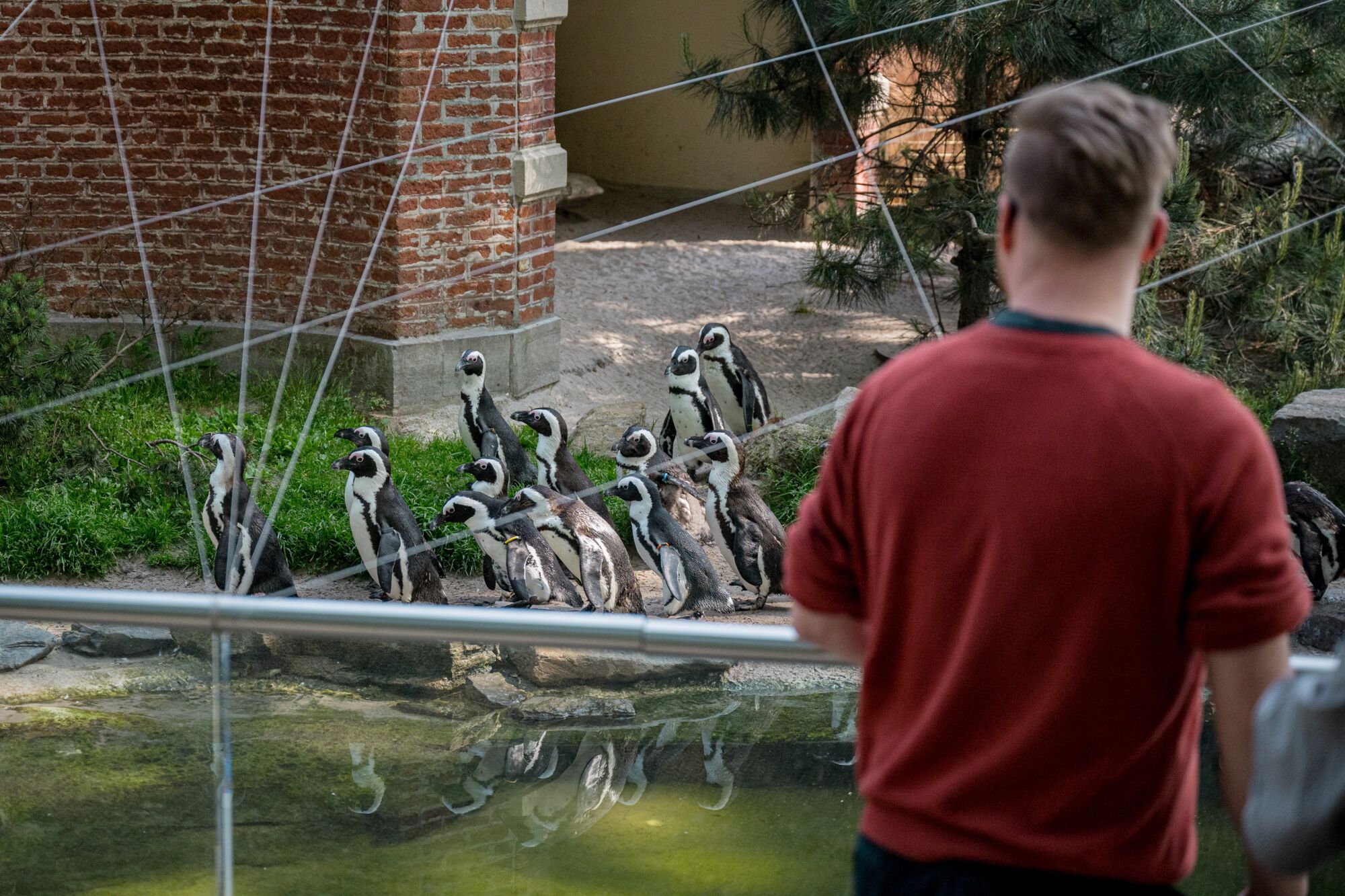 ZOO Antwerpen vanuituwkot (7).jpg