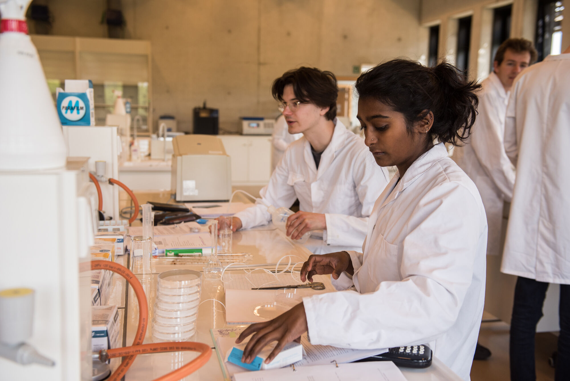 Biologie - vorm en functie planten (17).jpg