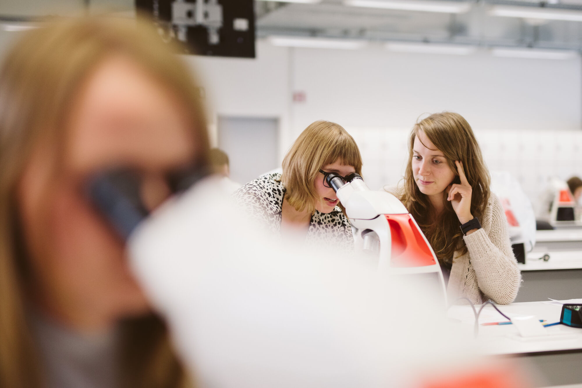 Long en nier practicum biomedische wetenschappen (9).jpg