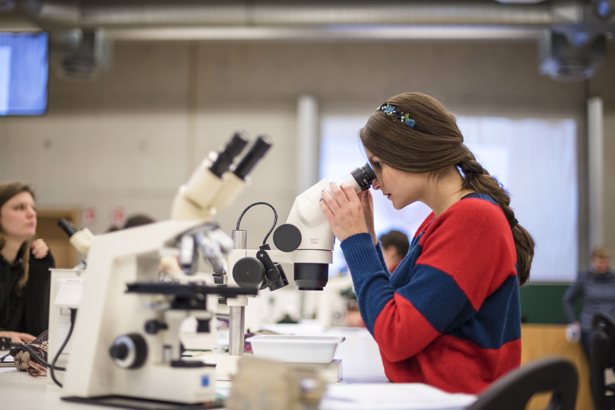 Practicum Biodiversiteit en functie (14).jpg