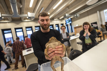 Biologie - amfibieën en reptielen (74).jpg