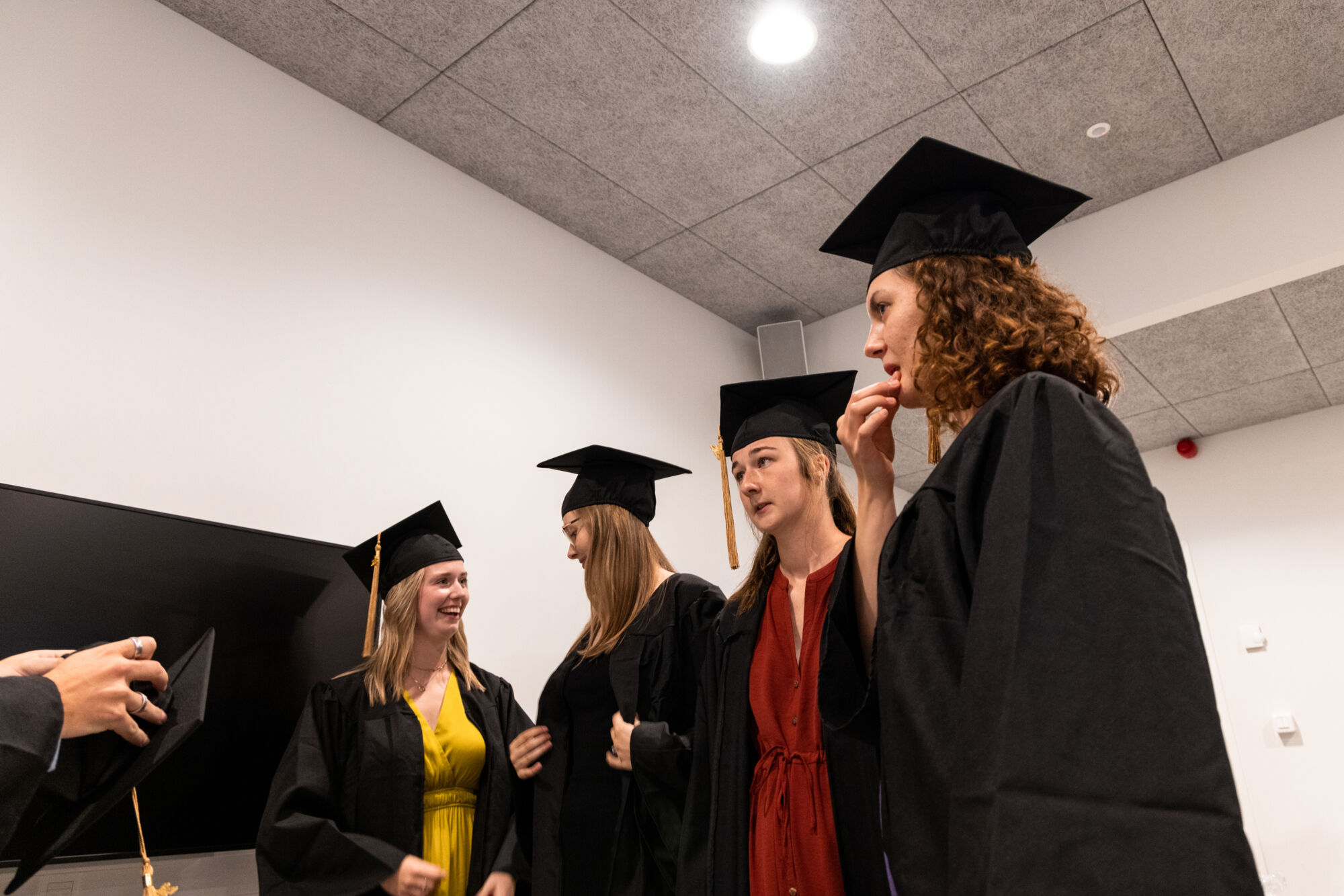 Proclamatie geneeskunde - master - 2023 