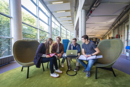 Campus Middelheim 2016 (3).jpg