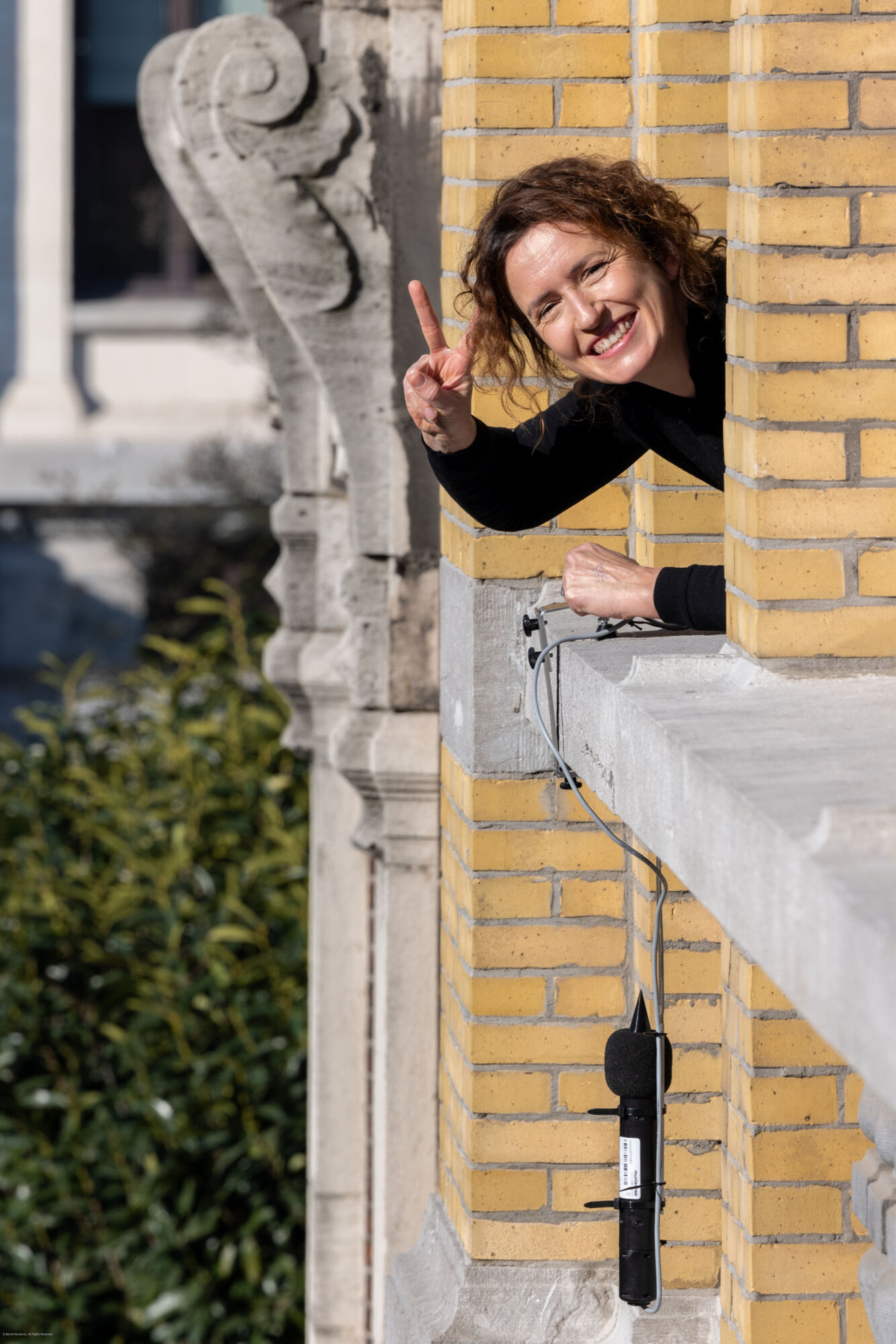 citizenscienceproject De Oorzaak
