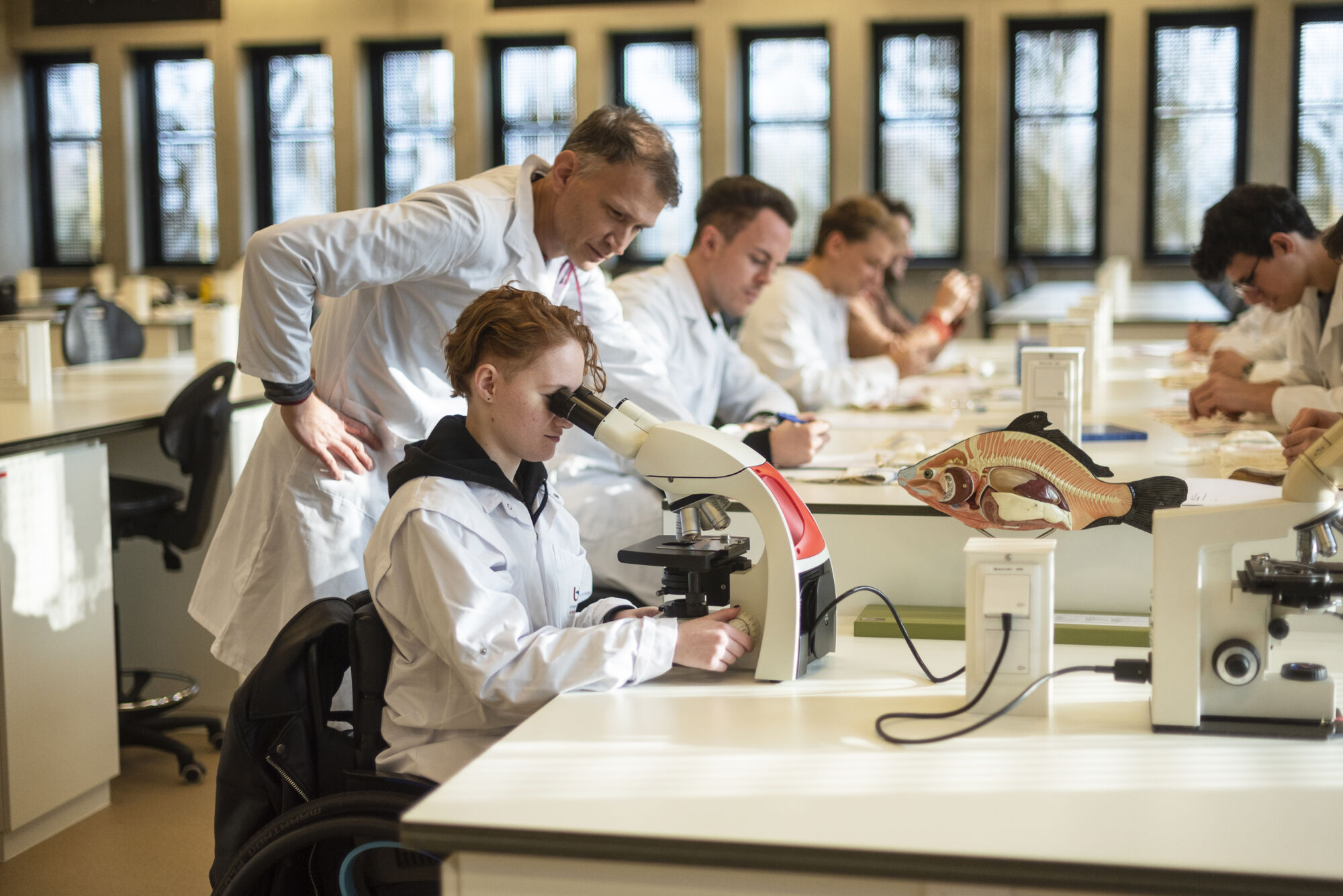 Studeren met een functiebeperking (29).jpg