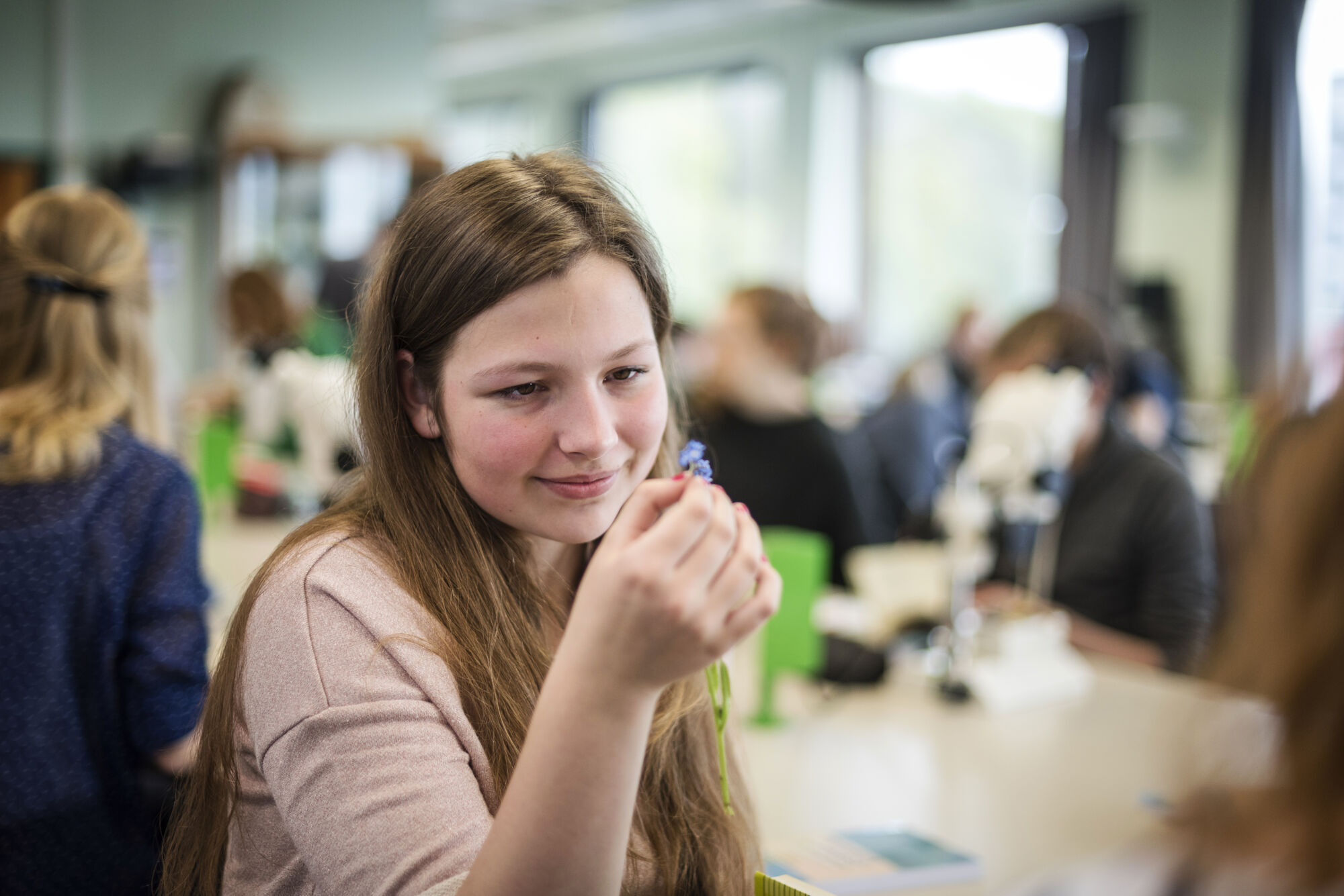 Biologie - Plantenkunde 2016 (5).jpg
