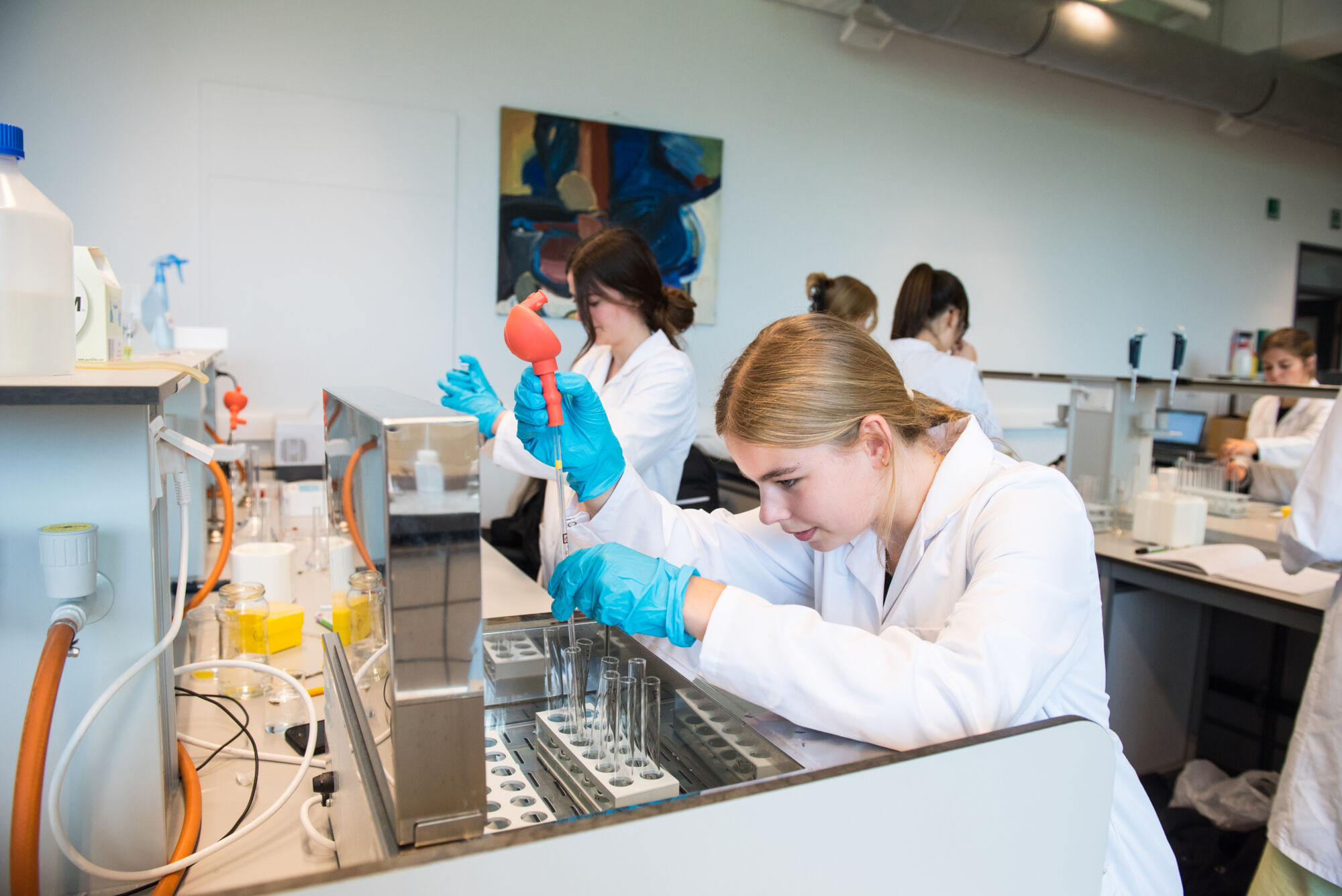 Geïntegreerd practicum bio-ingenieurswetenschappen (37).jpg