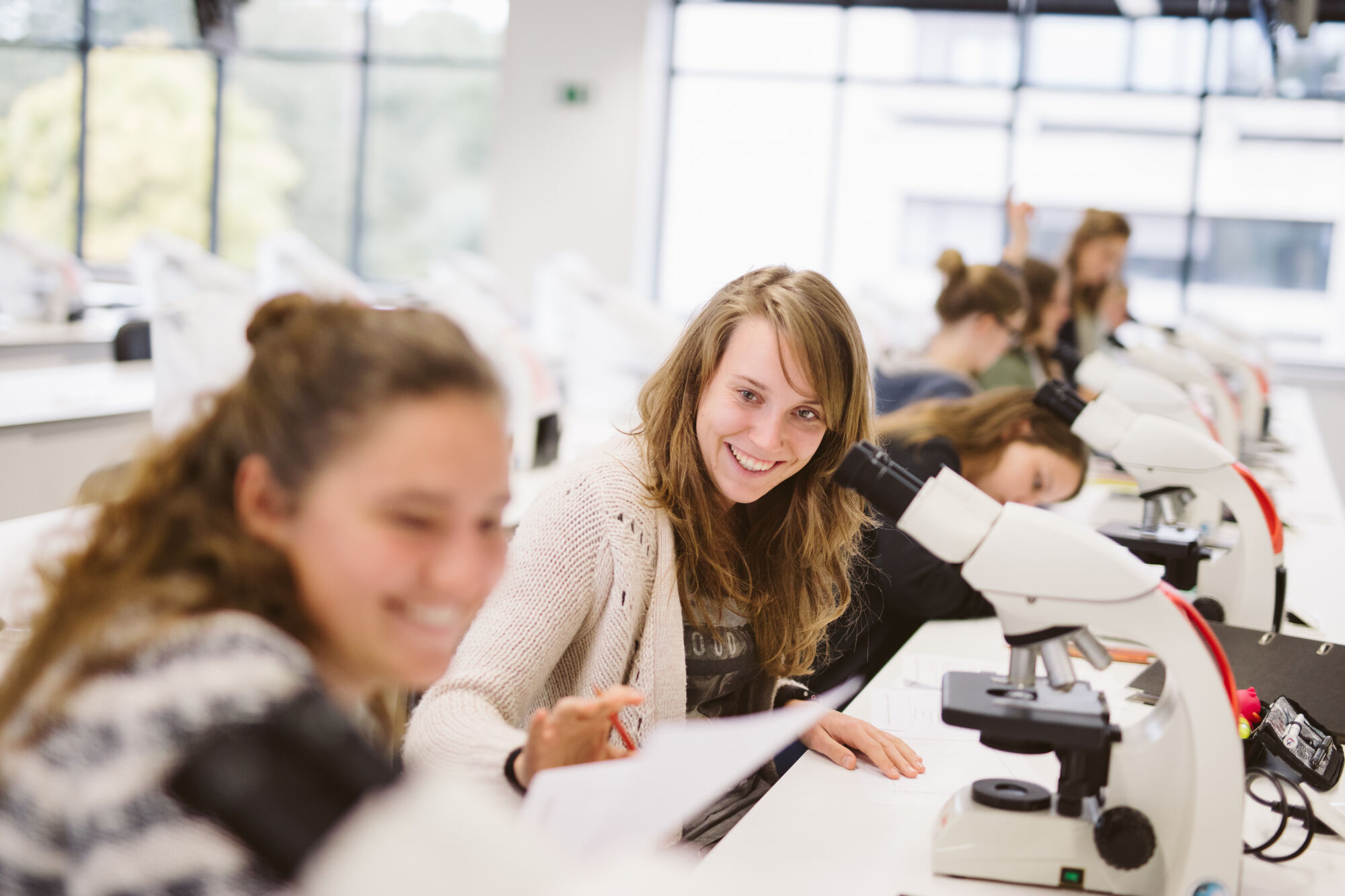 Long en nier practicum biomedische wetenschappen (21).jpg