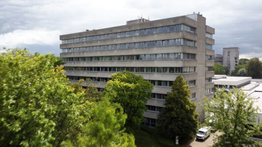 Biodiversiteit UAntwerpen 2021 (10).jpg