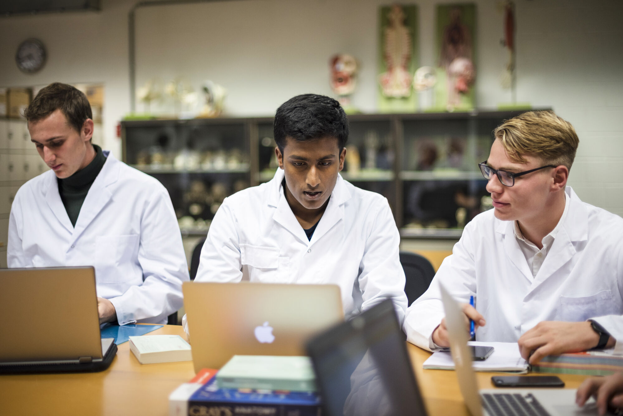 Anatomiepracticum geneeskunde (23).jpg