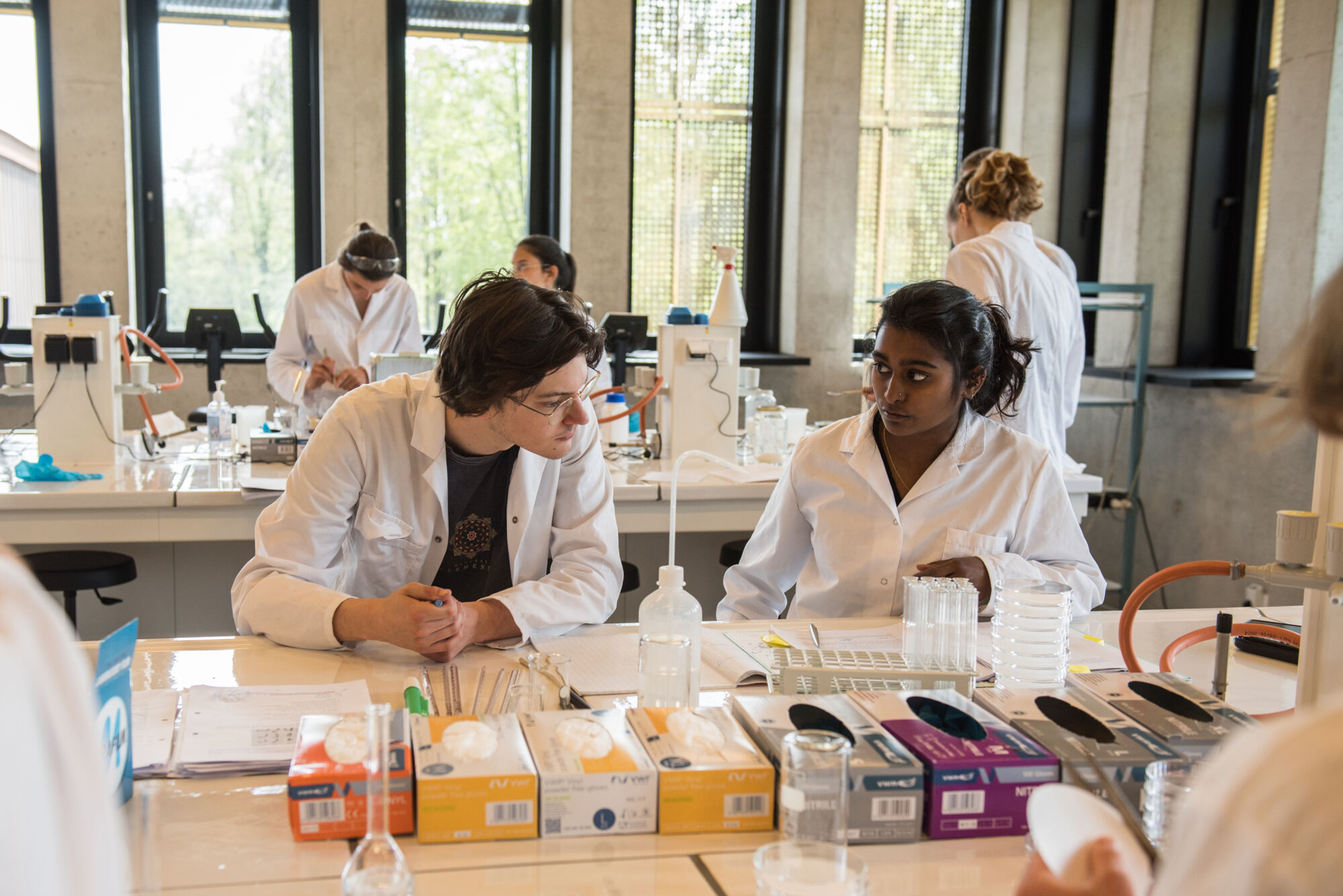 Biologie - vorm en functie planten (34).jpg
