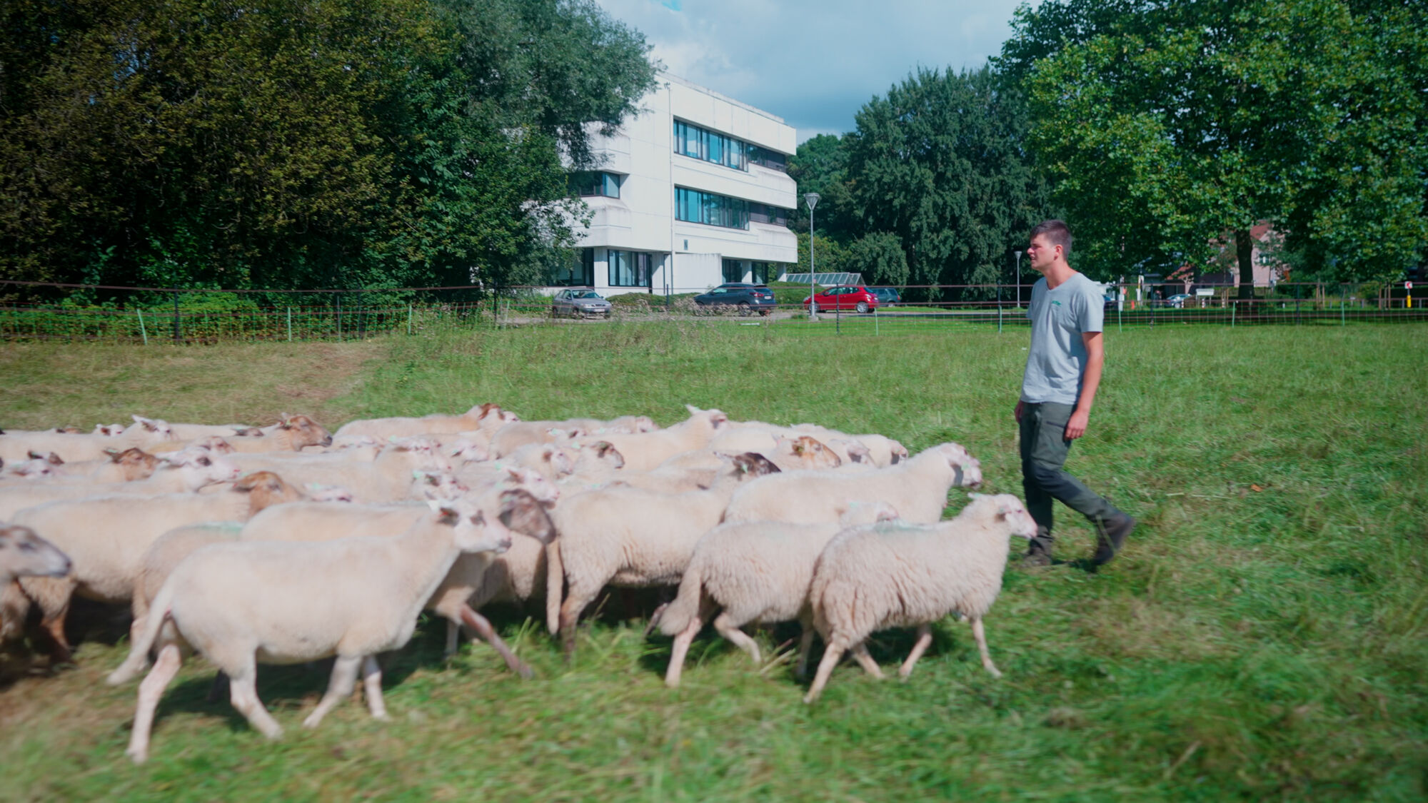 Biodiversiteit UAntwerpen 2021 (22).jpg