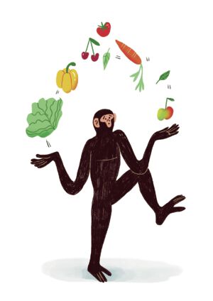 Bonobo1.png