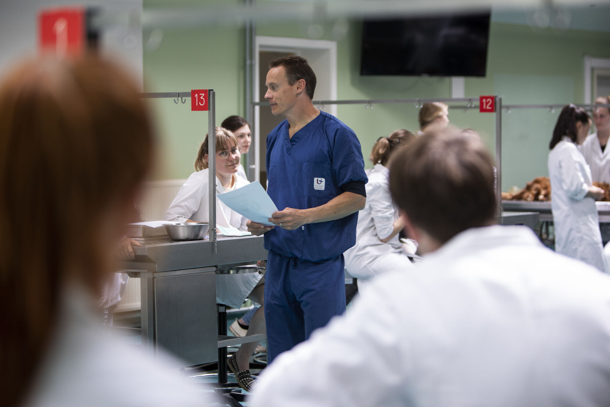 Diergeneeskunde practicum