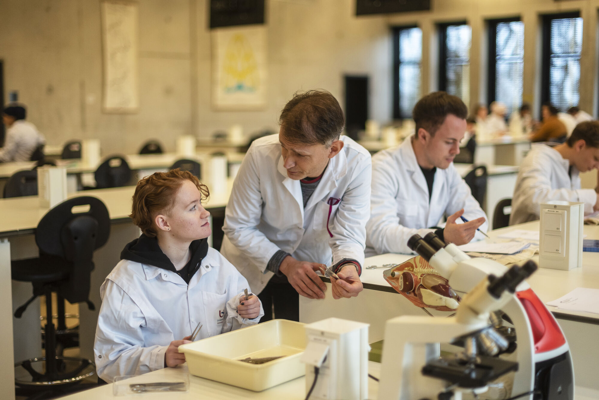 Studeren met een functiebeperking (34).jpg
