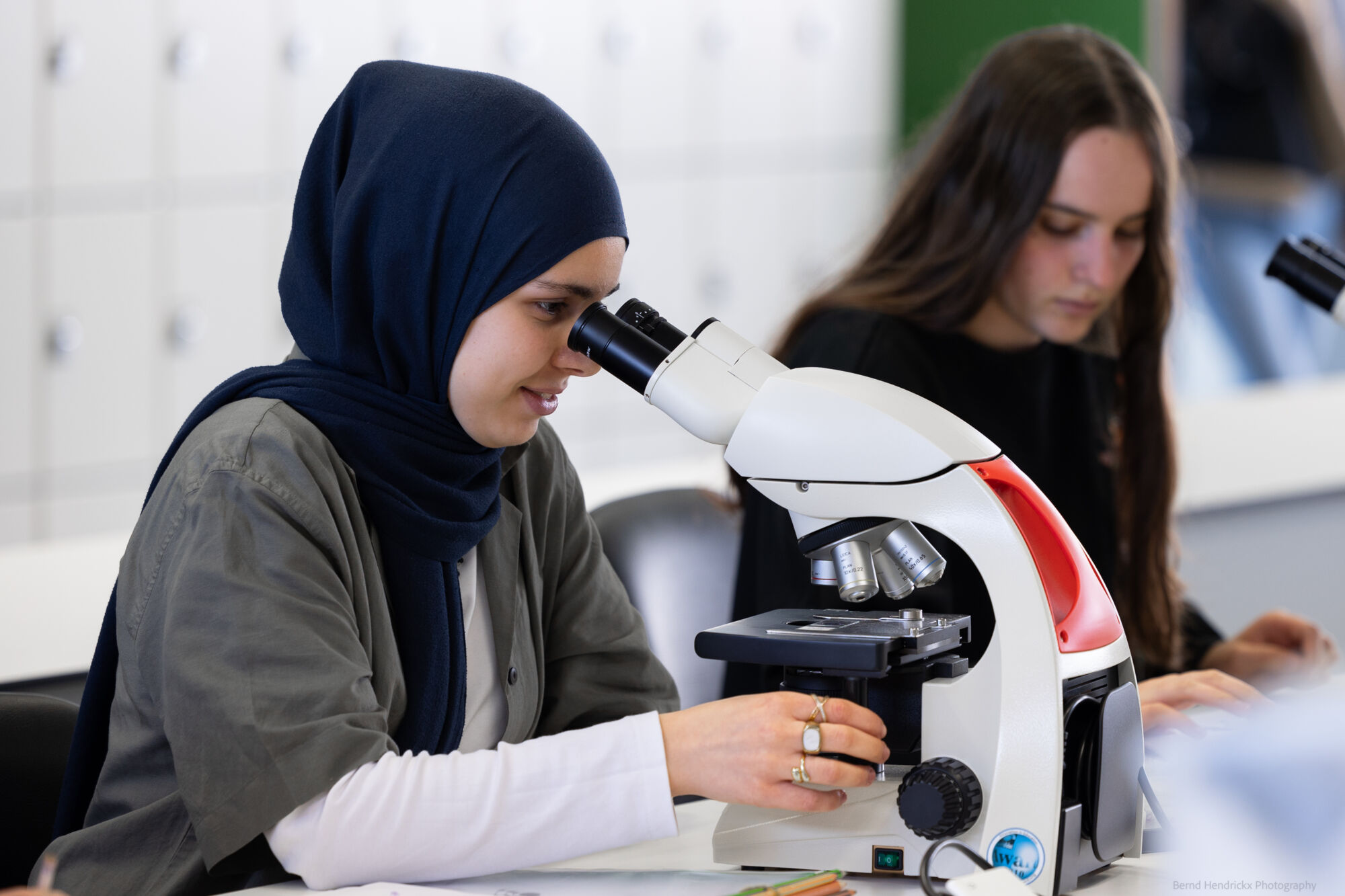 histologie-bachelorBMW-8.jpg