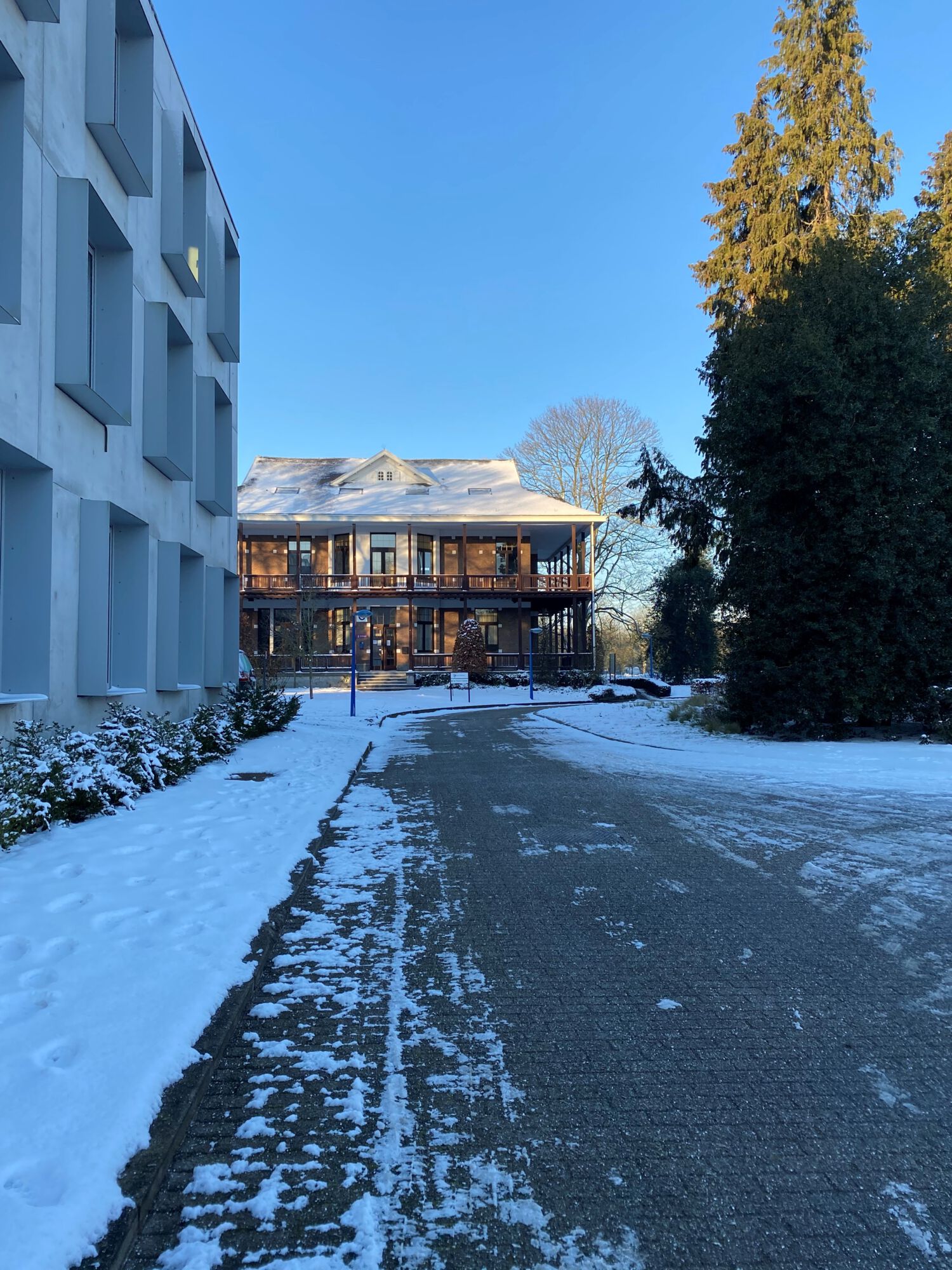 Sneeuwbeelden februari 2021 (05).jpg