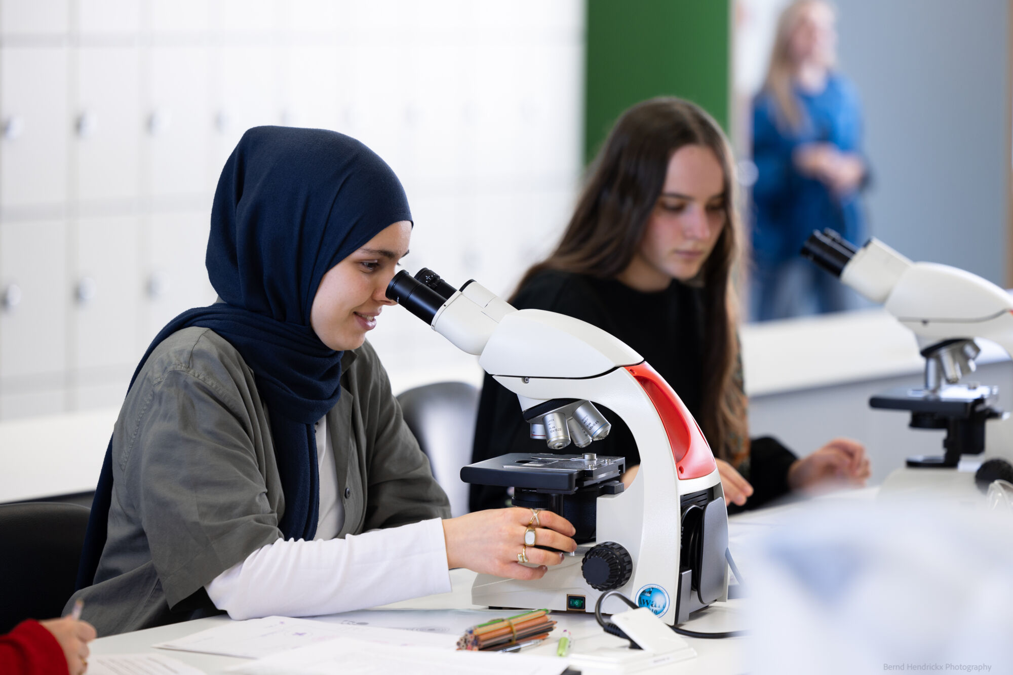 histologie-bachelorBMW-7.jpg