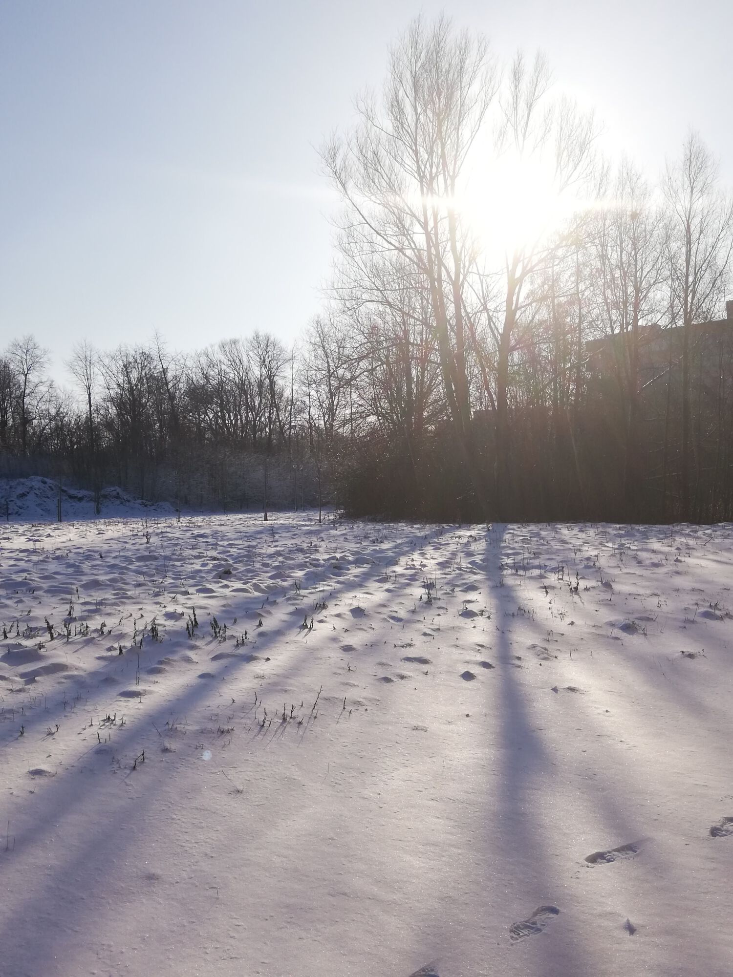 Sneeuwbeelden februari 2021 (12).jpg