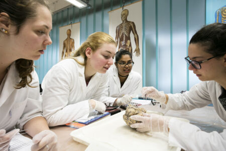 Neuro-practicum - biomedische wetenschappen (5)