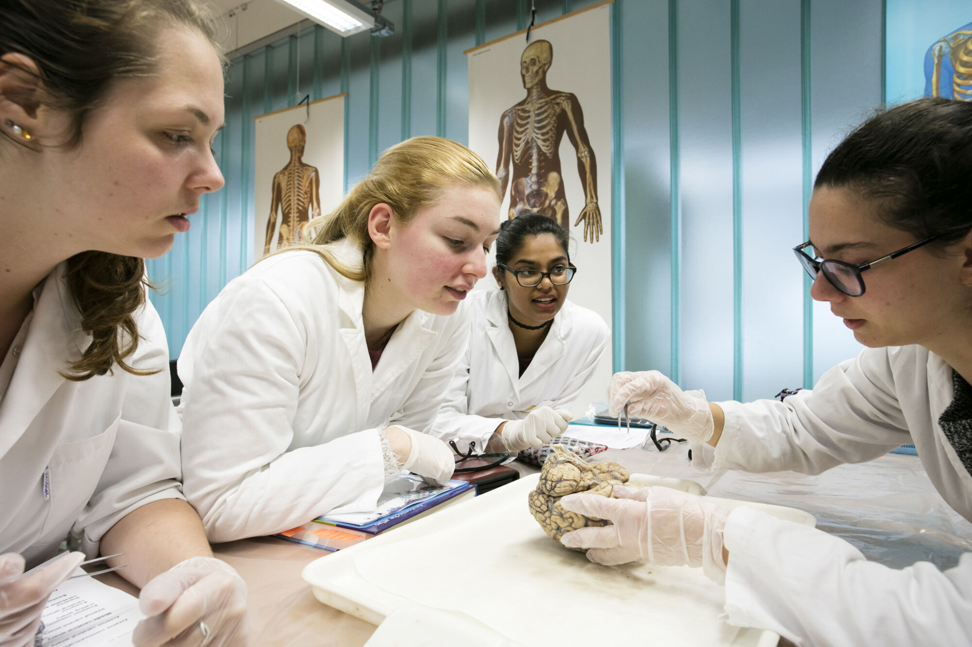 Neuro-practicum - biomedische wetenschappen (5)