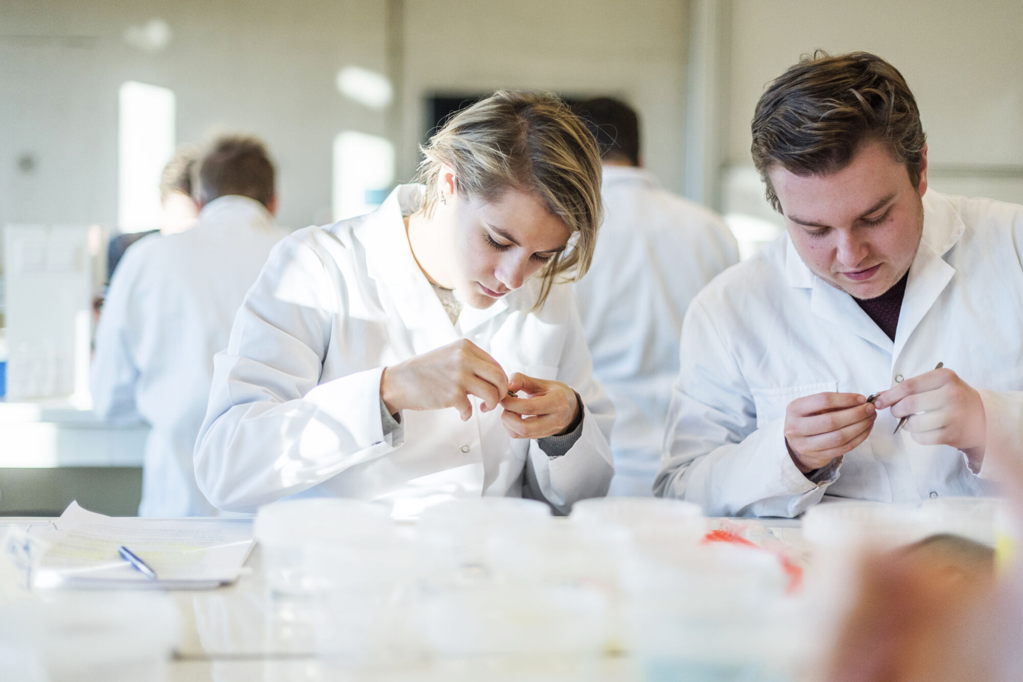 Biologie practicum (16).jpg