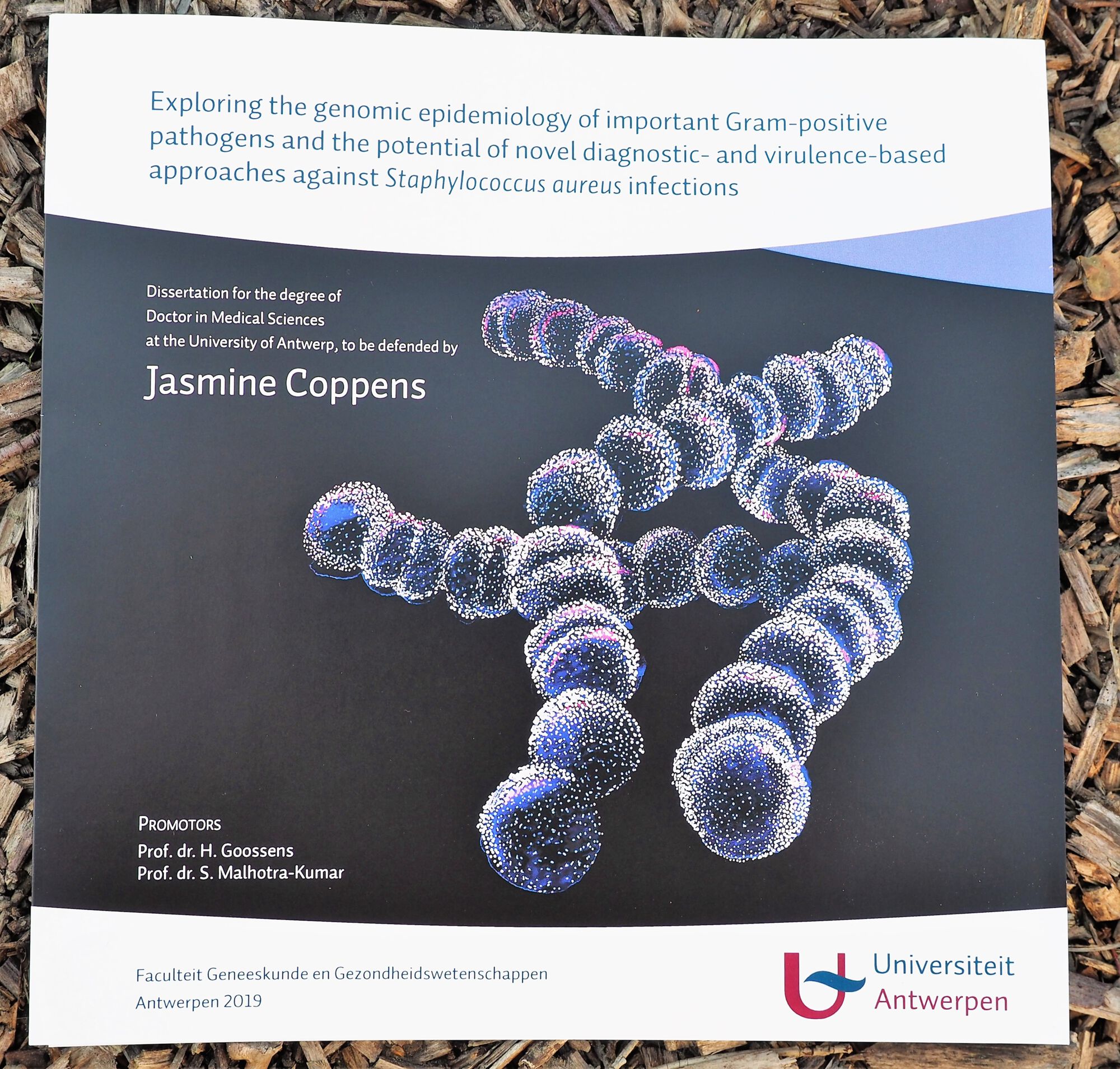 Doctoraatsverdediging Jasmine Coppens - 20 februari 2019