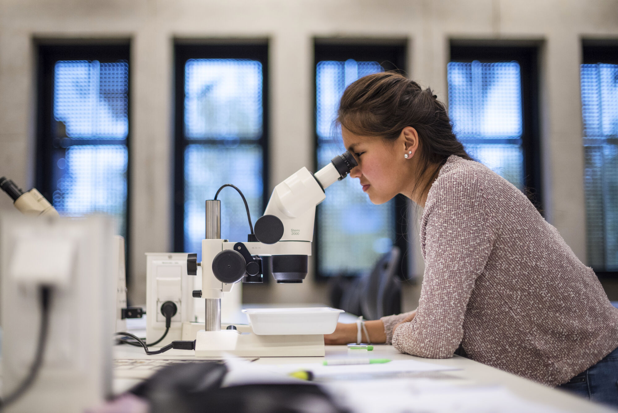 Practicum Biodiversiteit en functie (15).jpg