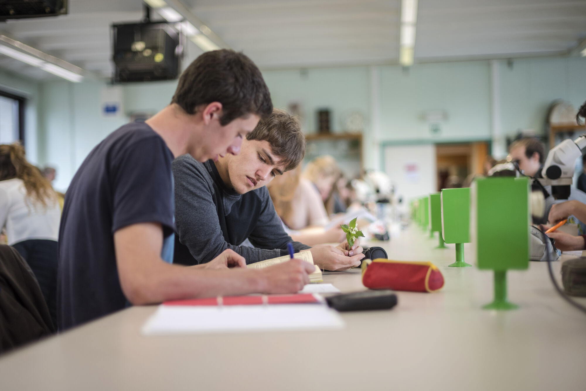 Biologie - Plantenkunde 2016 (4).jpg