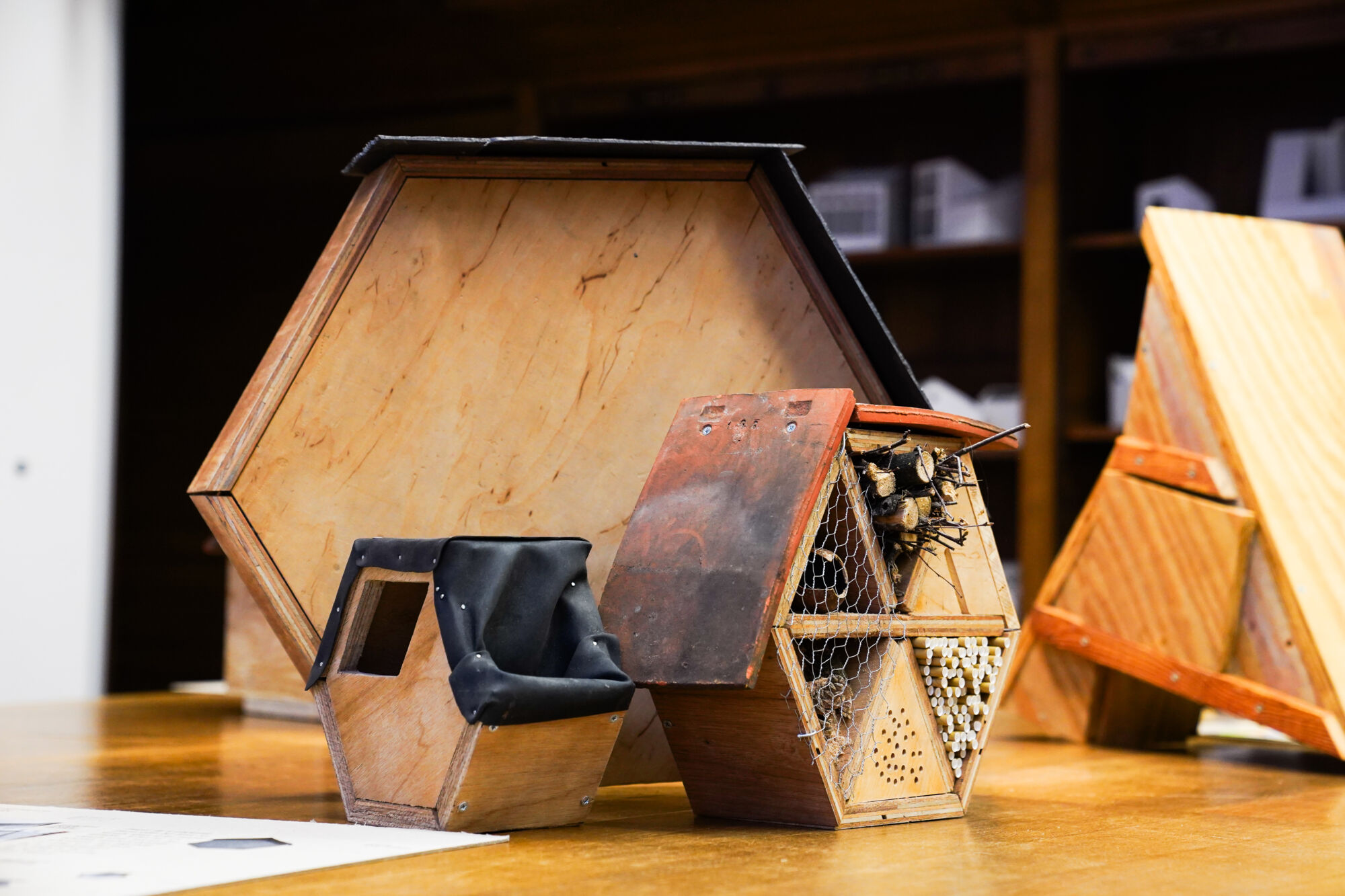 Projectweek architectuur 2023
