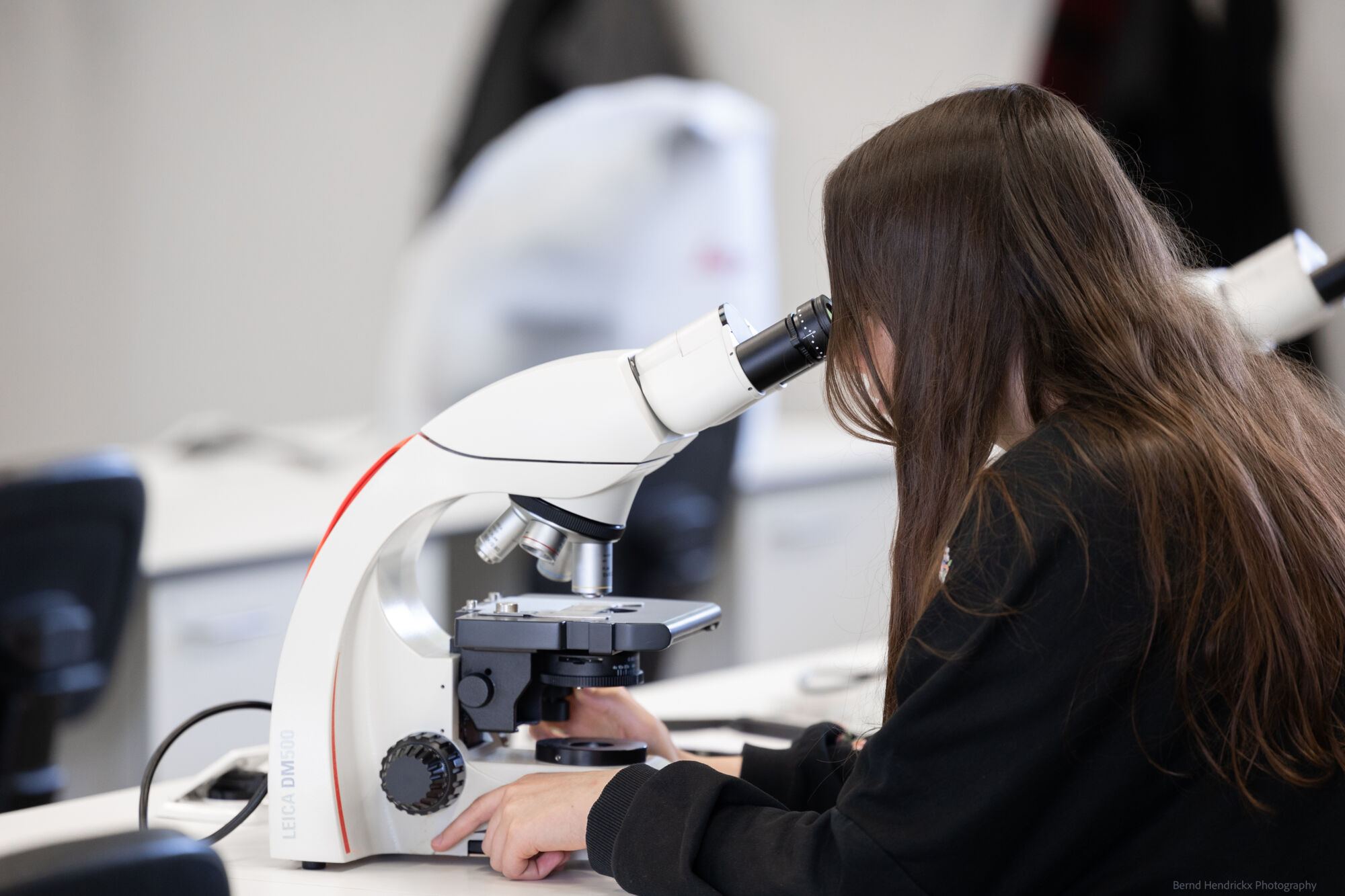 histologie-bachelorBMW-3.jpg