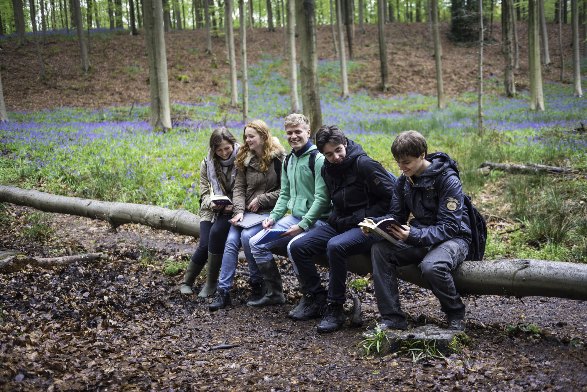 Hallerbos biologie (21).jpg