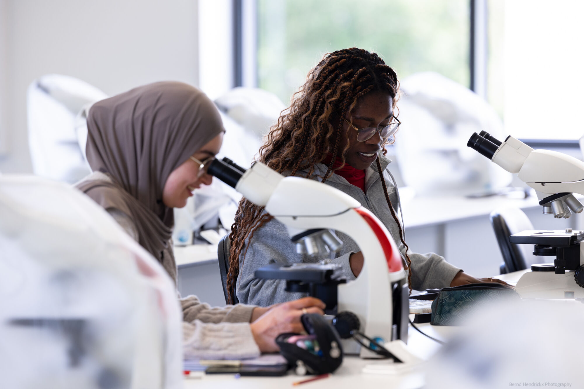 histologie-bachelorBMW-10.jpg