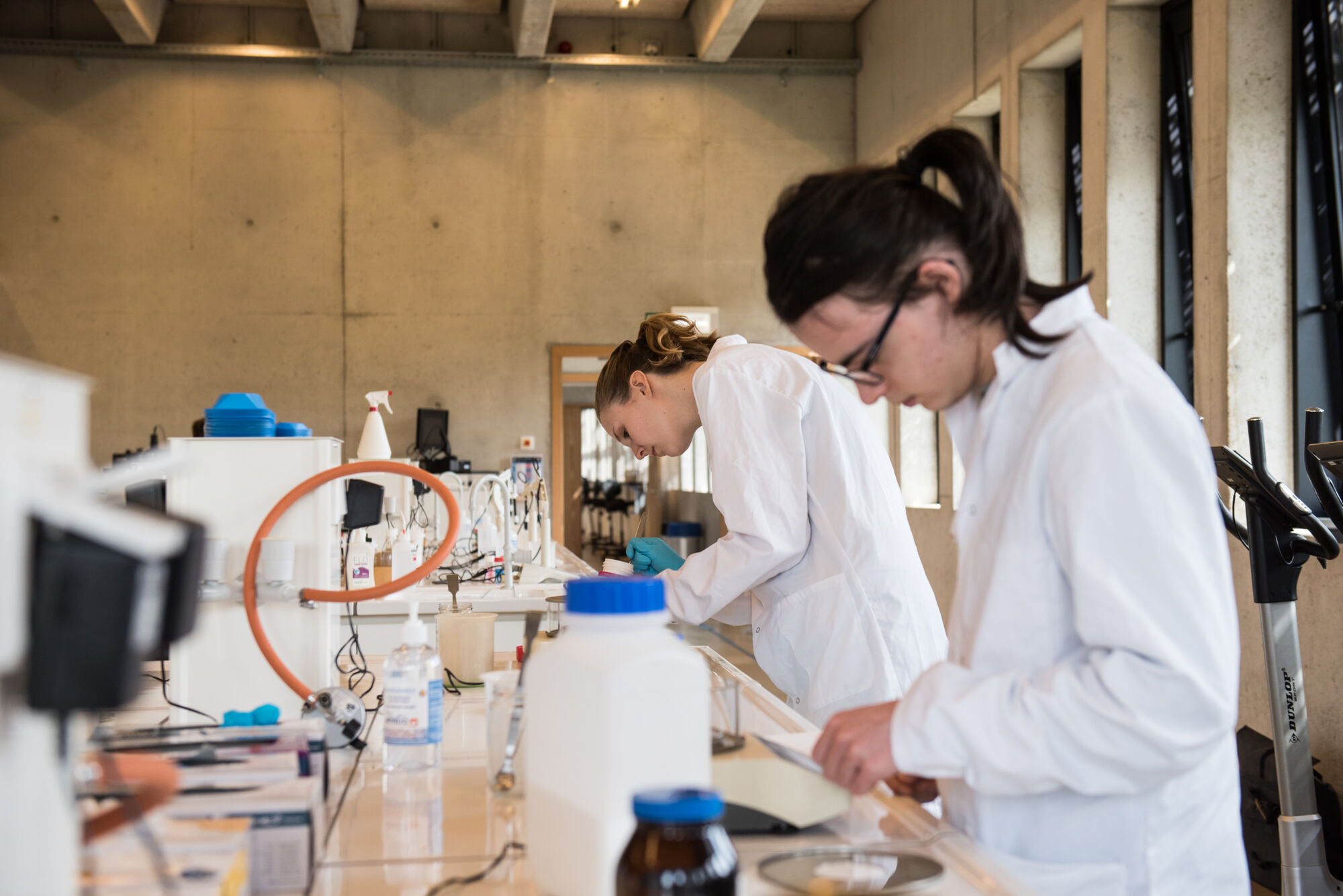 Biologie - vorm en functie planten (13).jpg