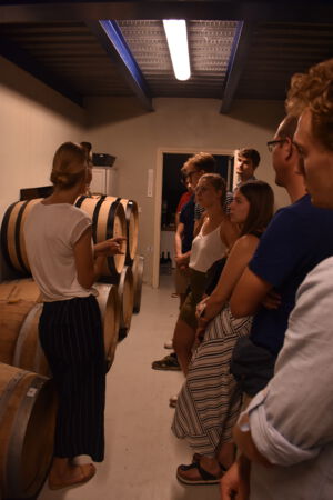 Summerschool Limassol 2019 (8).JPG