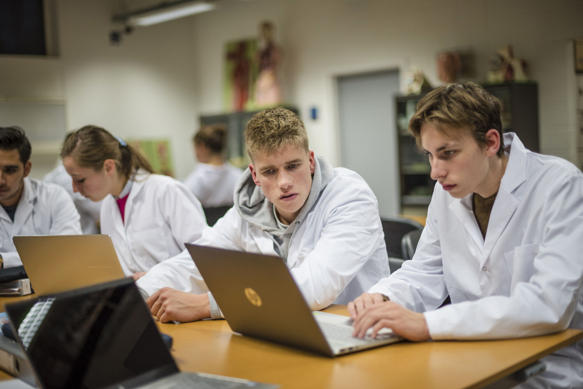 Anatomiepracticum geneeskunde (45).jpg