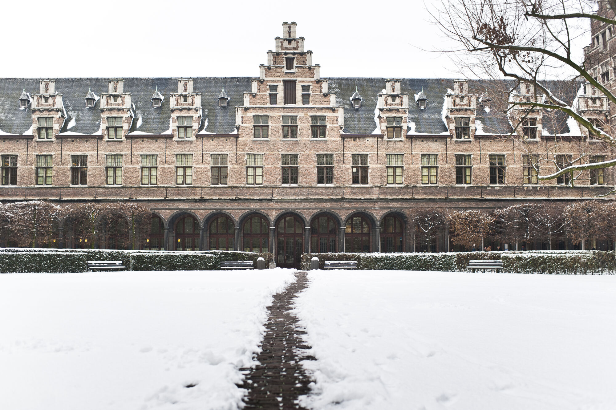 Sneeuwbeelden (1).jpg