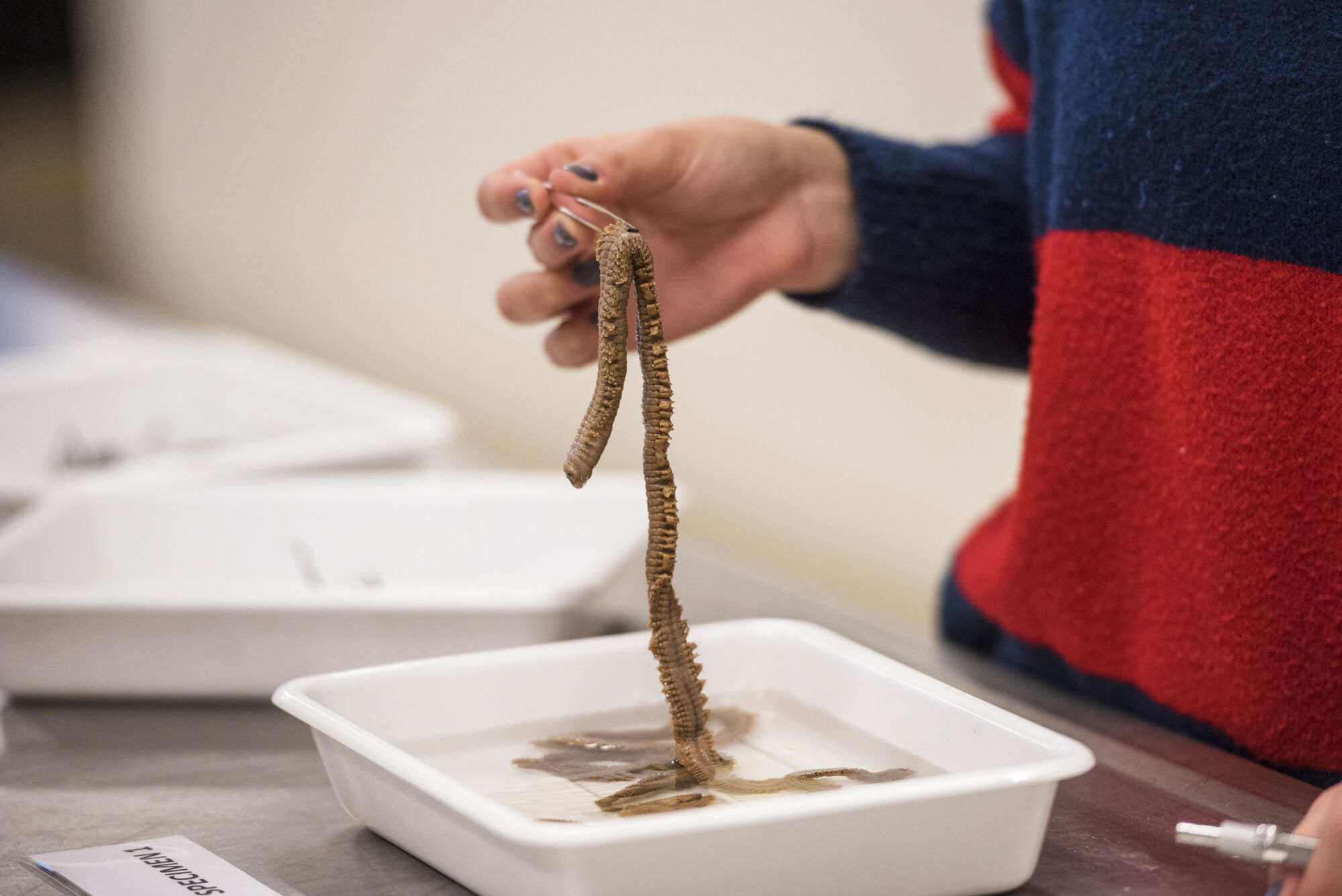 Practicum Biodiversiteit en functie (24).jpg