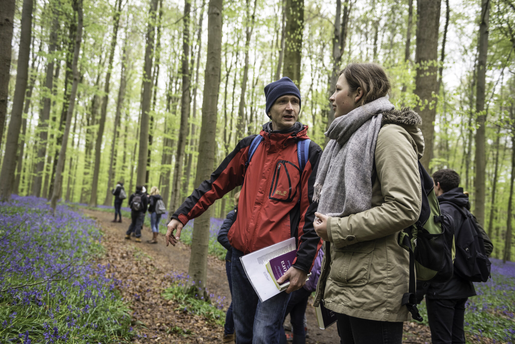 Hallerbos biologie (25).jpg
