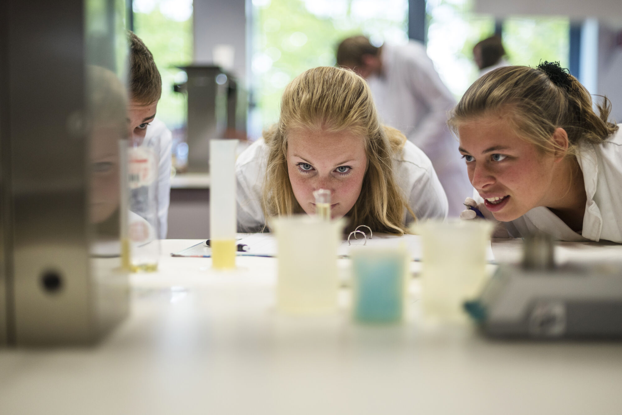 Practicum diergeneeskunde 2017 (03).jpg