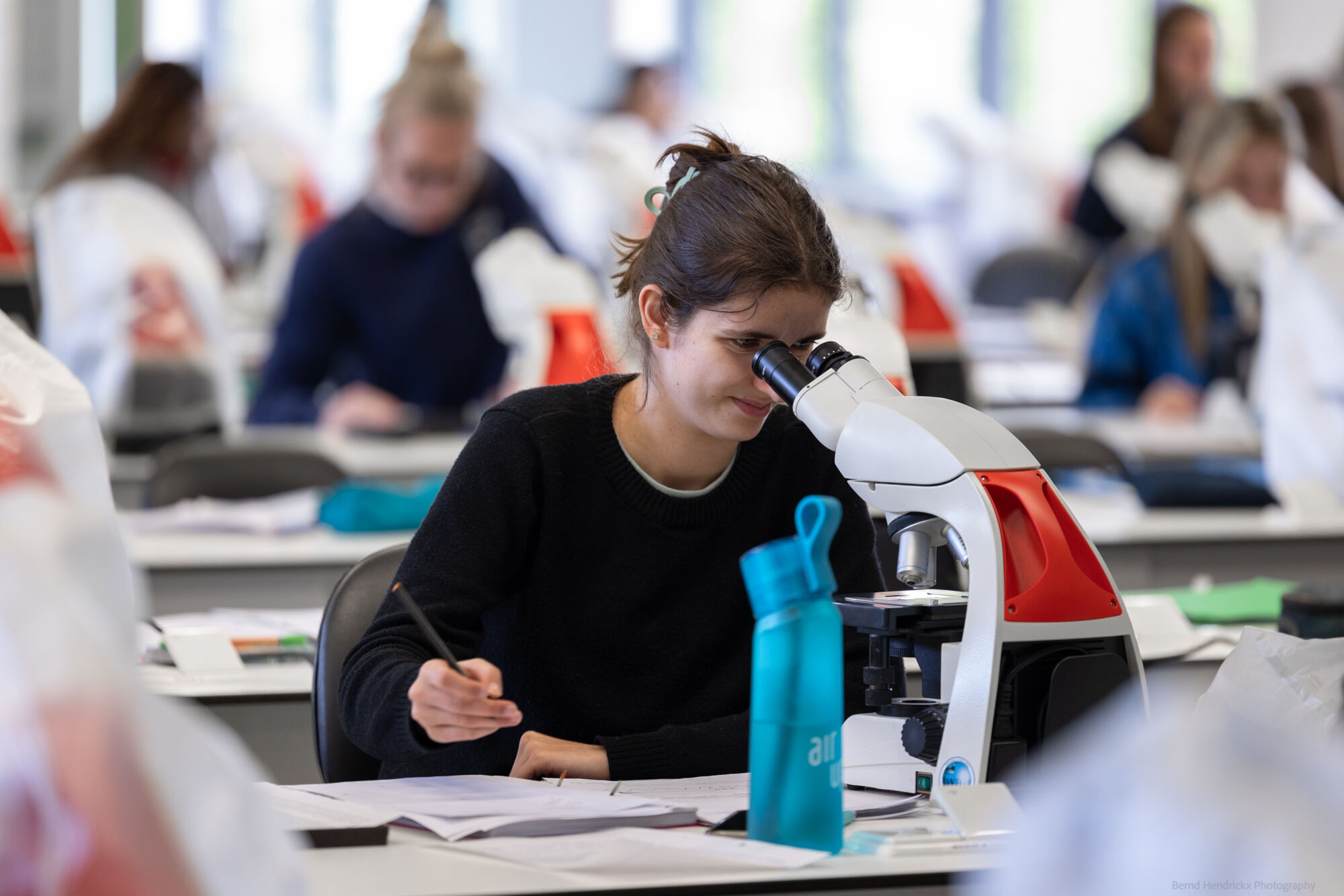histologie-bachelorBMW-17.jpg