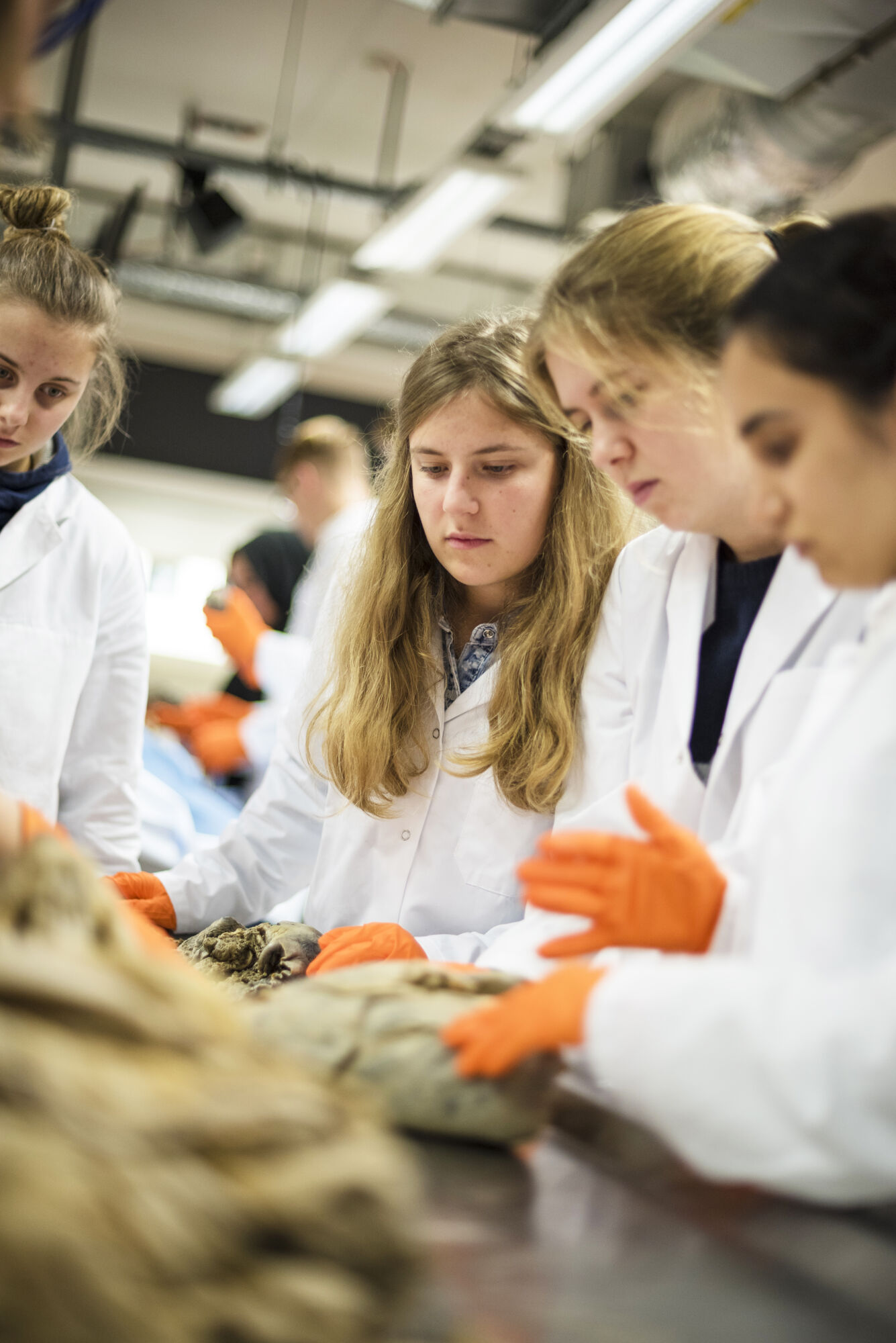 Anatomiepracticum geneeskunde (56).jpg