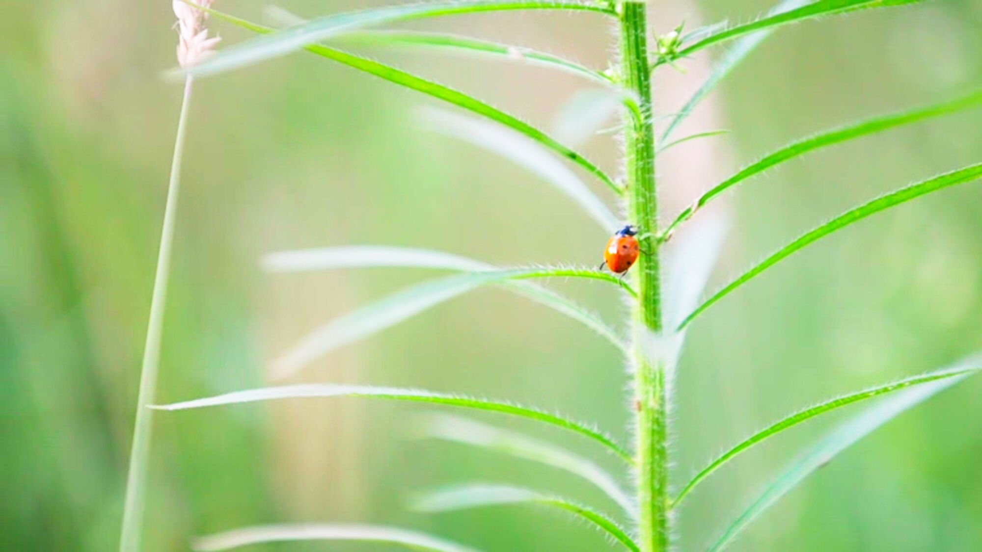 Biodiversiteit UAntwerpen 2021 (44).jpg