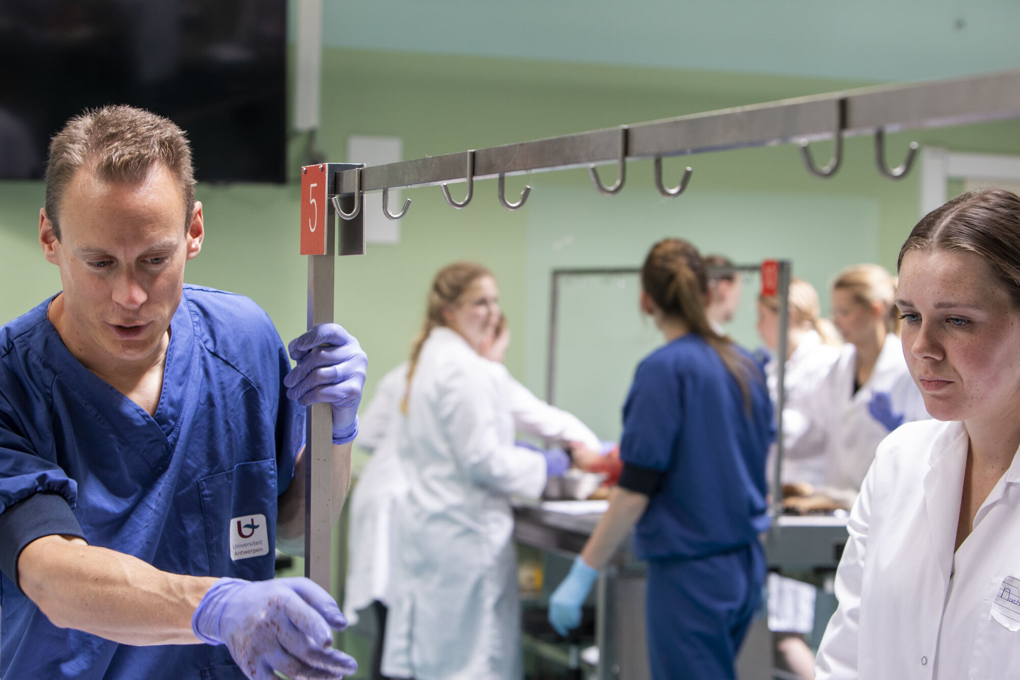 Diergeneeskunde practicum