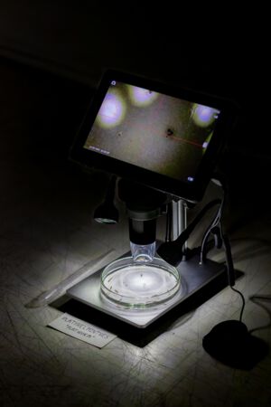 IDW 2025 - 56.jpg