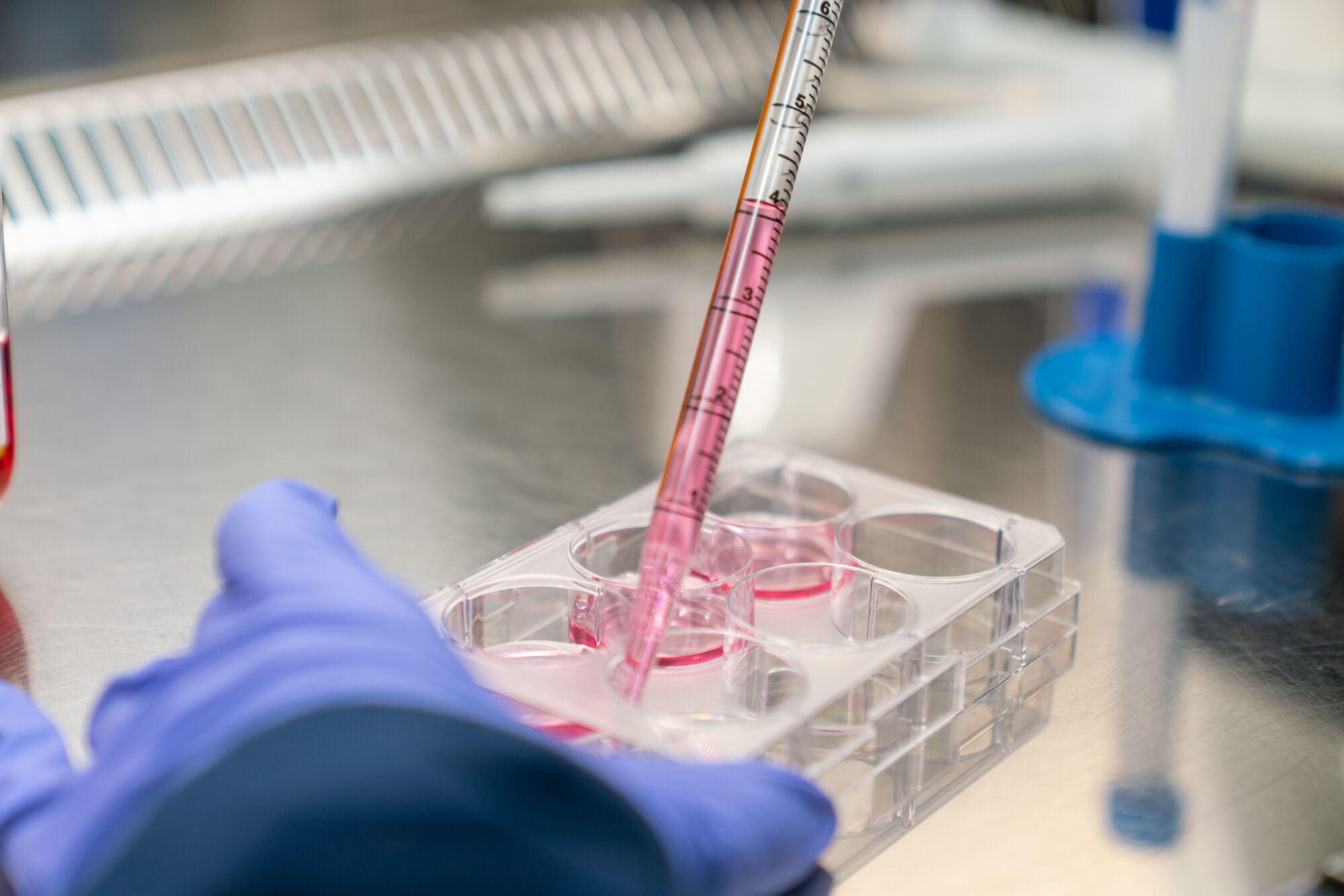VIB Center for Molecular Neurology (24).jpg
